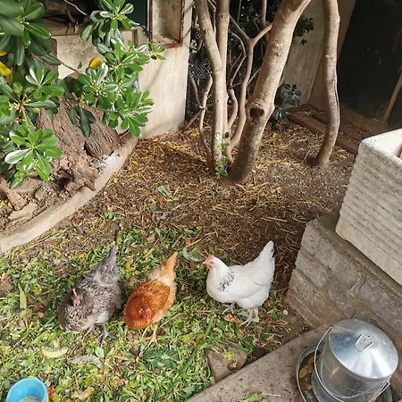 Maison Familiale Avec Jardin
